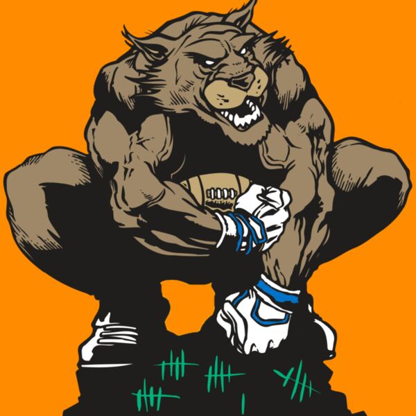 AR WILDCAT 34 RC Thumbnail