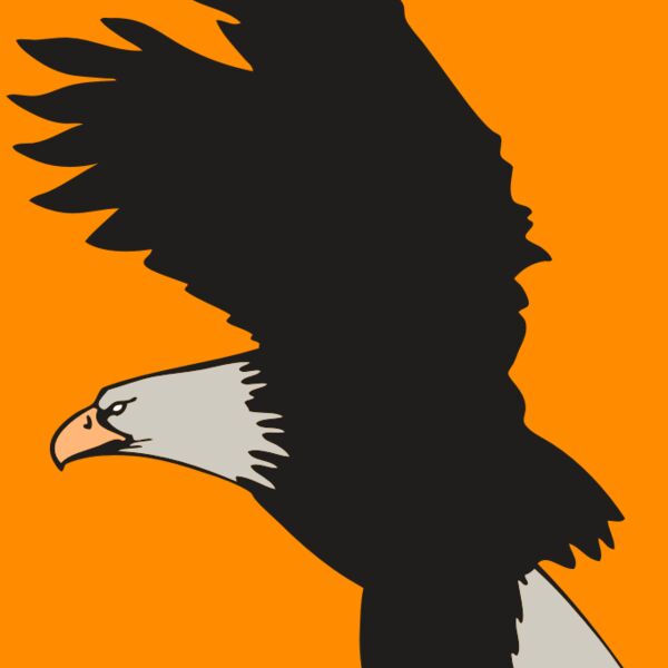 AR EAGLE 91 RC Thumbnail