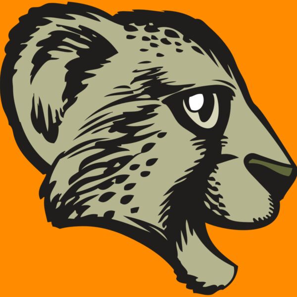 BAW CHEETAH 17 RC Thumbnail