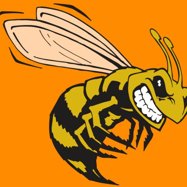 AR BEE 50 RC Thumbnail