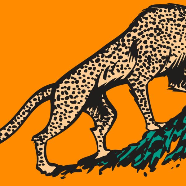 AR CHEETAH 02 RC Thumbnail