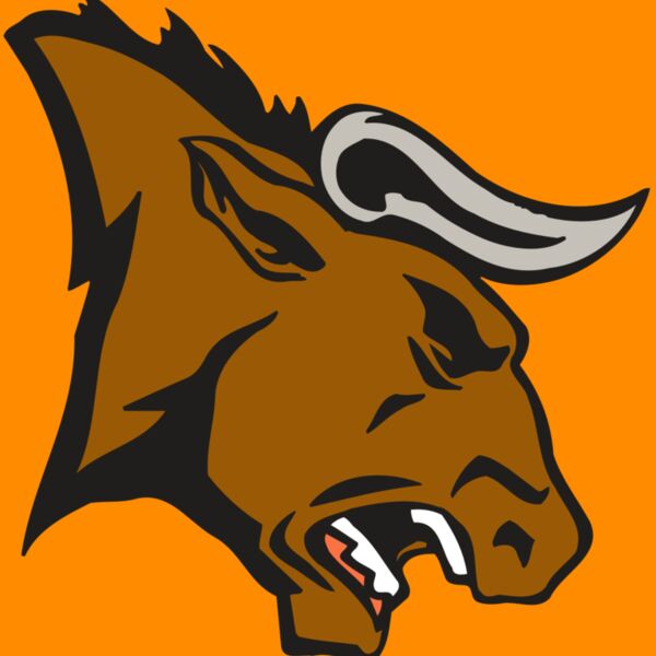 AR BULL 38 RC Thumbnail