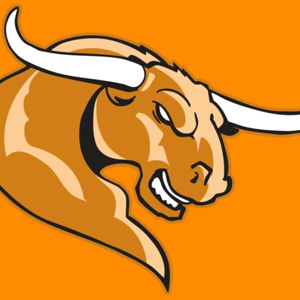 AR BULL 14 RC Thumbnail