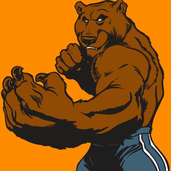 AR BEAR 31 RC Thumbnail