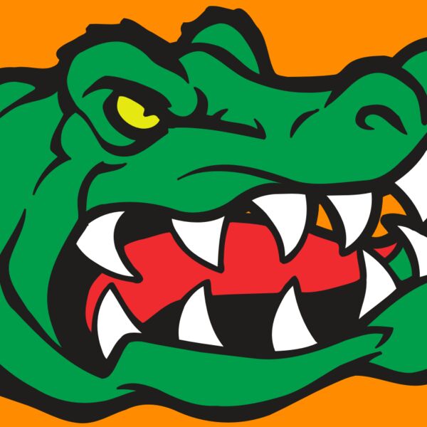 AR GATOR 19 RQC Thumbnail