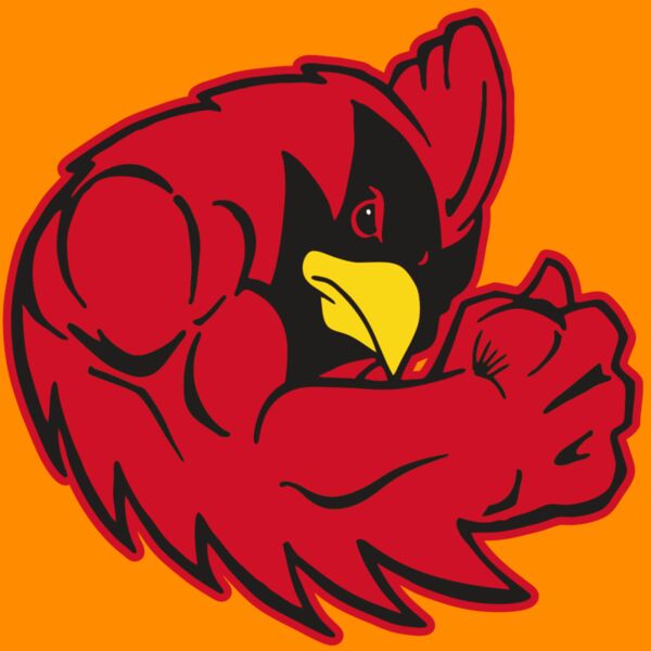 AR CARDINAL 29 RC Thumbnail