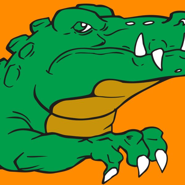 AR GATOR 22 RQC Thumbnail