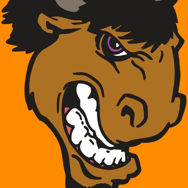 AR BUFFALO 13 RC Thumbnail