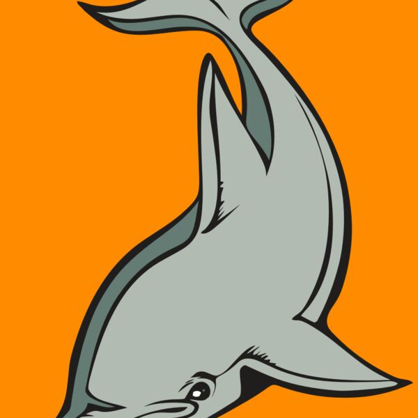 BAW DOLPHIN 01 RC Thumbnail