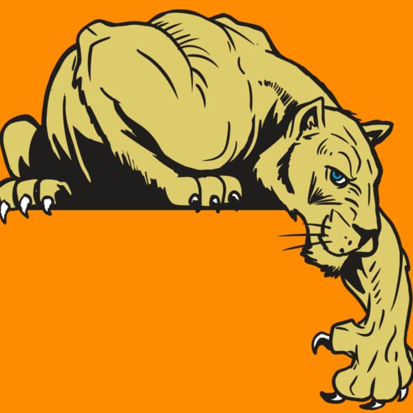 AR10 PANTHER 06 RQC Thumbnail