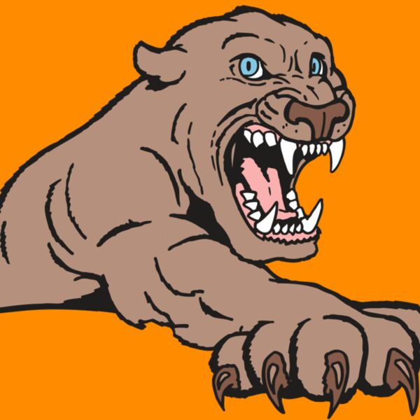 AR5 COUGAR 20 RQC Thumbnail