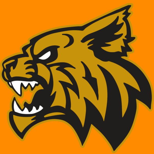 AR WILDCAT 16 RC Thumbnail