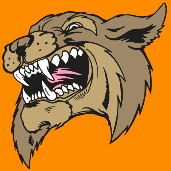 AR5 BOBCAT 09 RQC Thumbnail