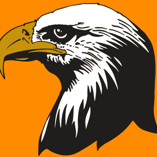 AR EAGLE 87 RC Thumbnail