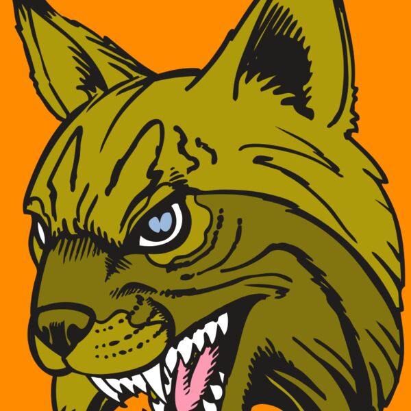 BAW BOBCAT 05 RC Thumbnail