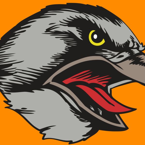 BAW HWK FLCN 13 RC Thumbnail