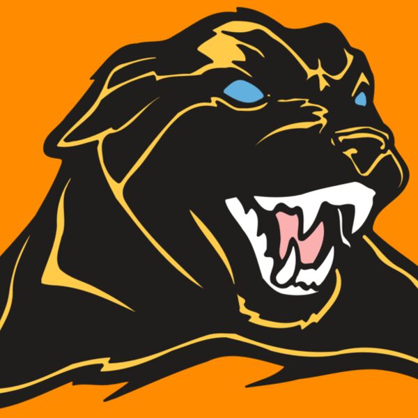 AR COUGAR 42 RC Thumbnail