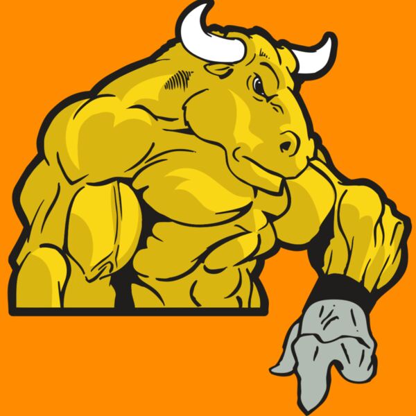 AR BULL 13 RC Thumbnail