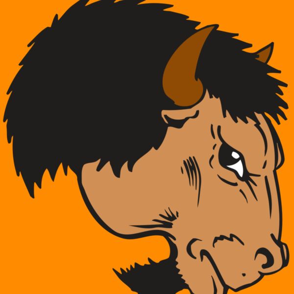 AR BUFFALO 16 RC Thumbnail