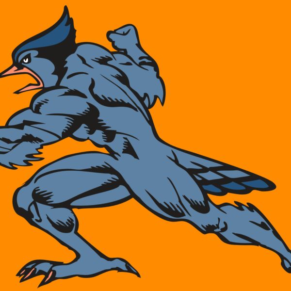 BAW BLUEJAY 15 RC Thumbnail