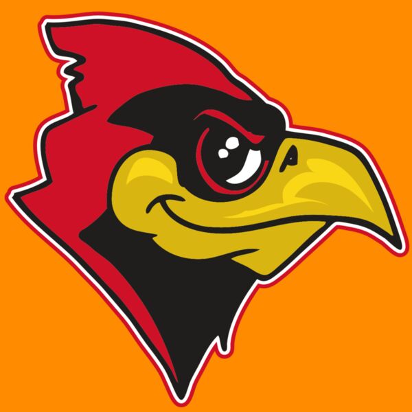 AR CARDINAL 38 RC Thumbnail