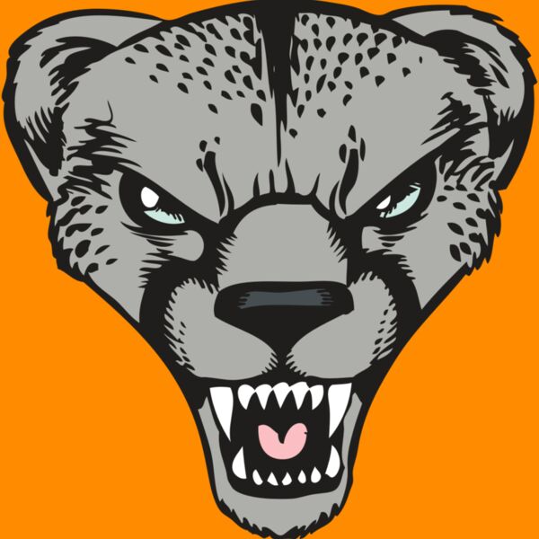 BAW CHEETAH 15 RC Thumbnail