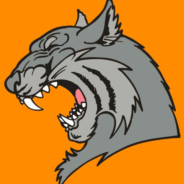 AR WILDCAT 41 RC Thumbnail