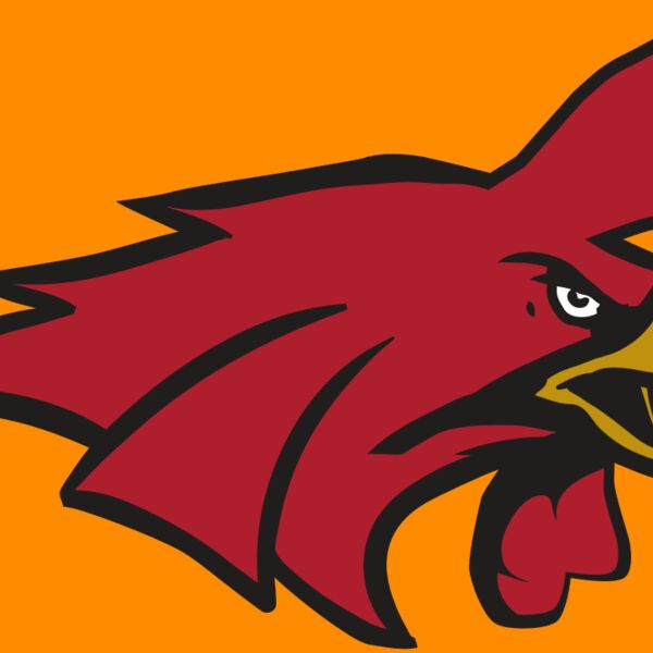 AR15 GAMECOCK 01 RQC Thumbnail