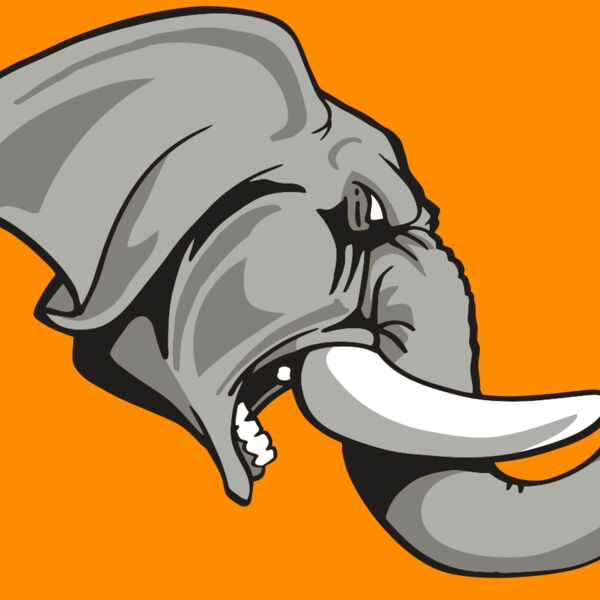 AR ELEPH 20 RC Thumbnail