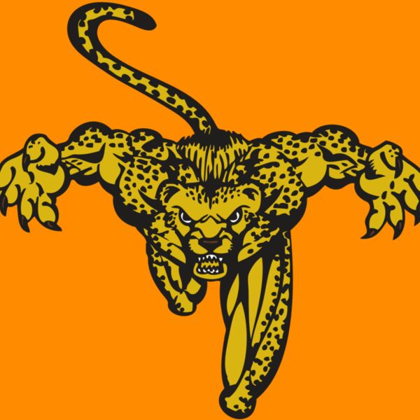 BAW CHEETAH 08 RC Thumbnail