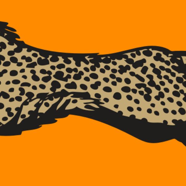 BAW CHEETAH 01 RC Thumbnail