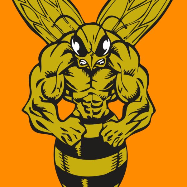 BAW BEE 06 RC Thumbnail