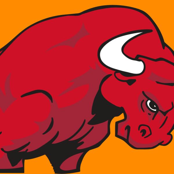 AR BULL 12 RC Thumbnail