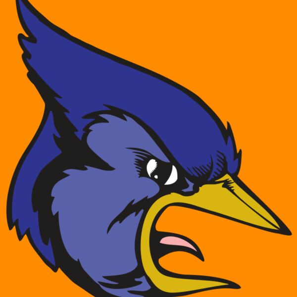 BAW BLUEJAY 04 RC Thumbnail