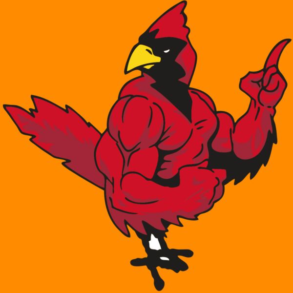 AR CARDINAL 27 RC Thumbnail