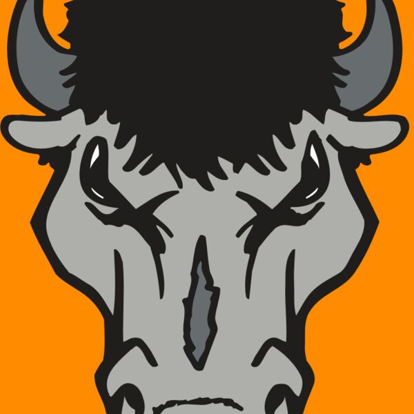 AR BUFFALO 15 RC Thumbnail