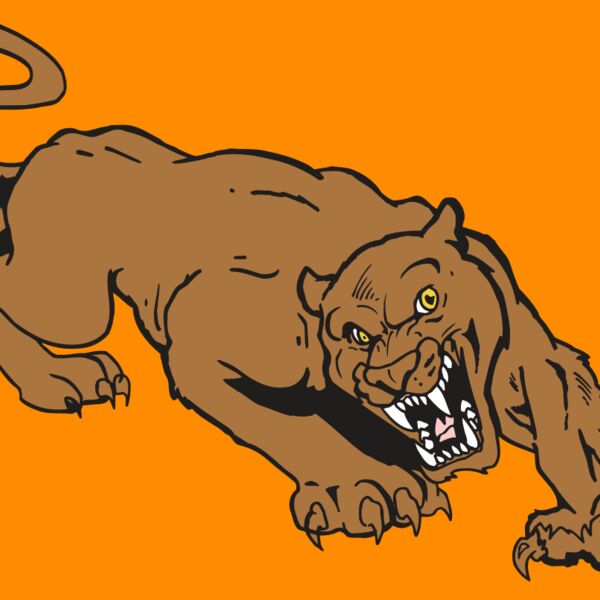 AR5 COUGAR 41 RQC Thumbnail