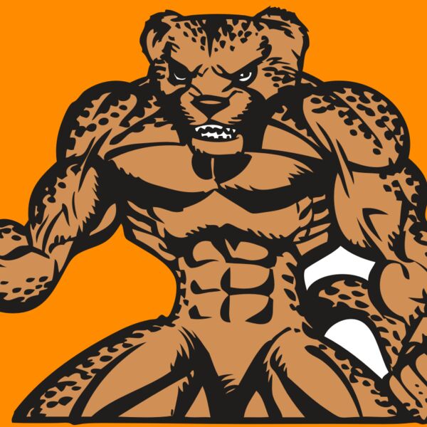 BAW CHEETAH 07 RC Thumbnail