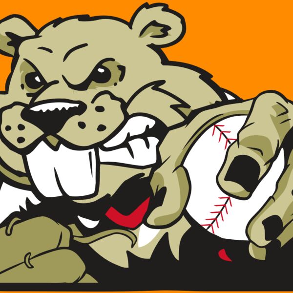 AR4 BEAVER 06 RQC Thumbnail