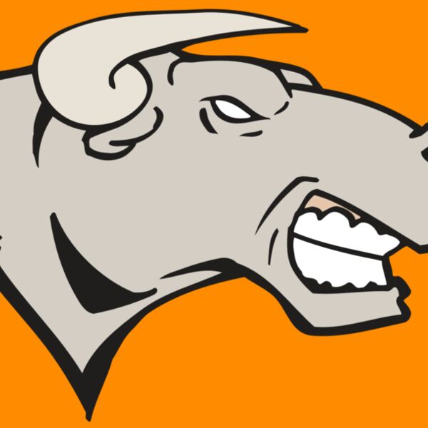 AR BULL 18 RC Thumbnail