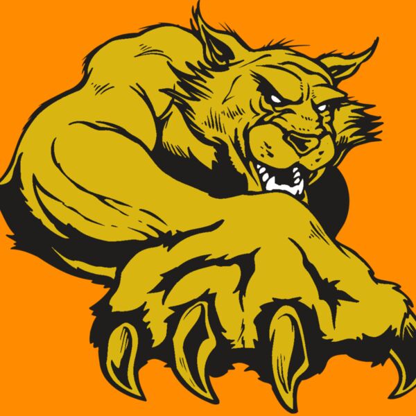 AR WILDCAT 26 RC Thumbnail