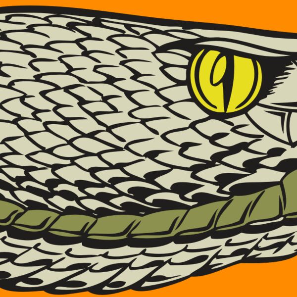 BAW SNAKE 03 RC Thumbnail