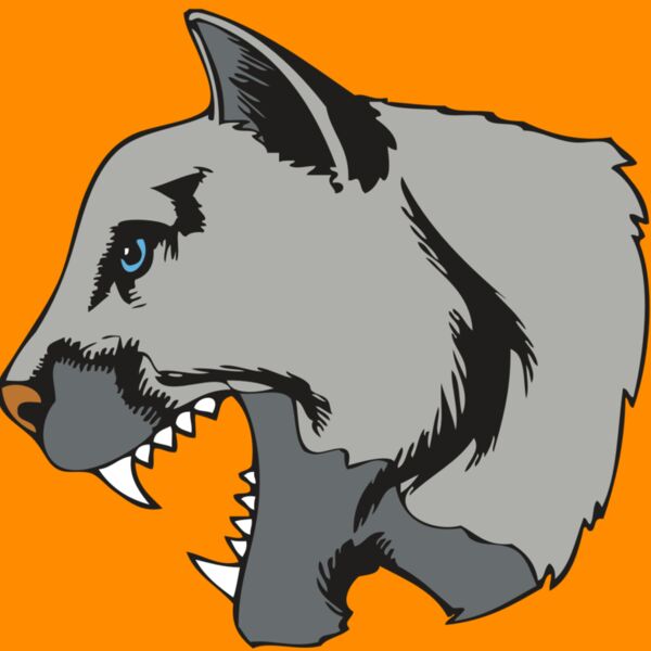 BAW COUG PANTH 15 R Thumbnail