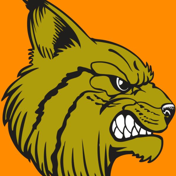 BAW BOBCAT 16 RC Thumbnail