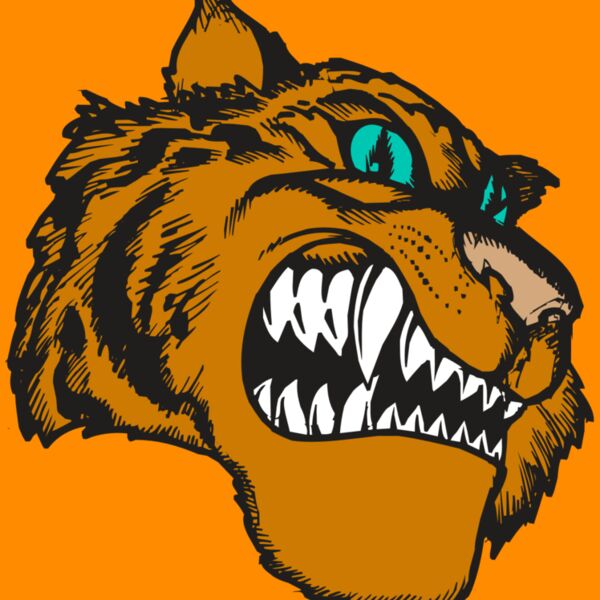 BAW TIGER 11 RC Thumbnail