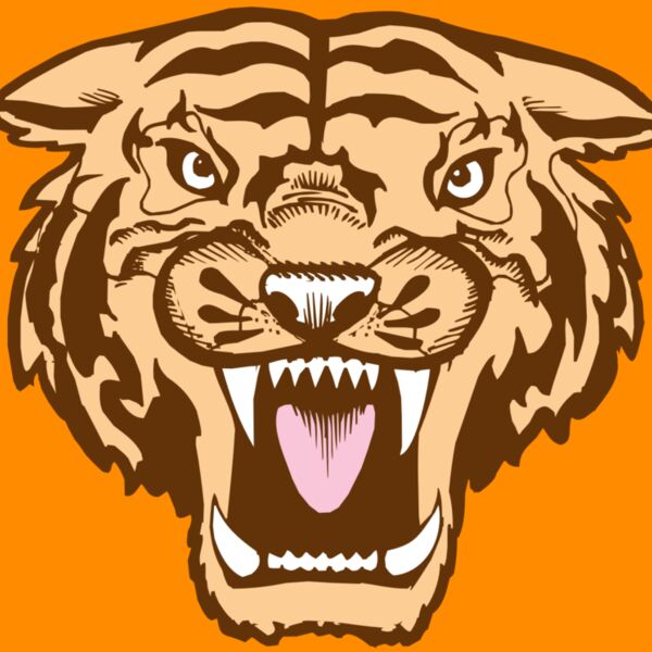 BAW TIGER 05 RC Thumbnail