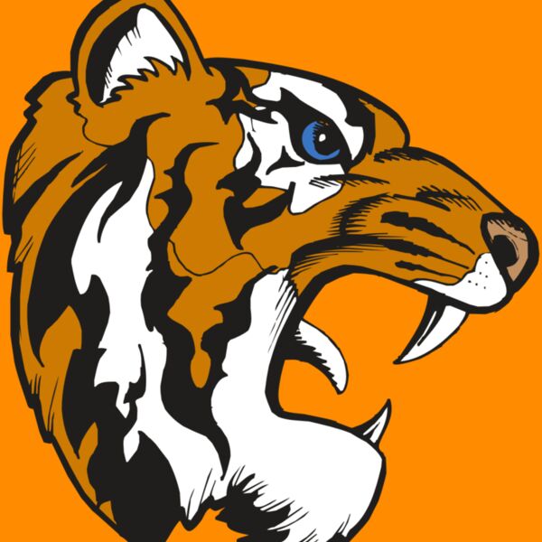 BAW TIGER 08 RC Thumbnail