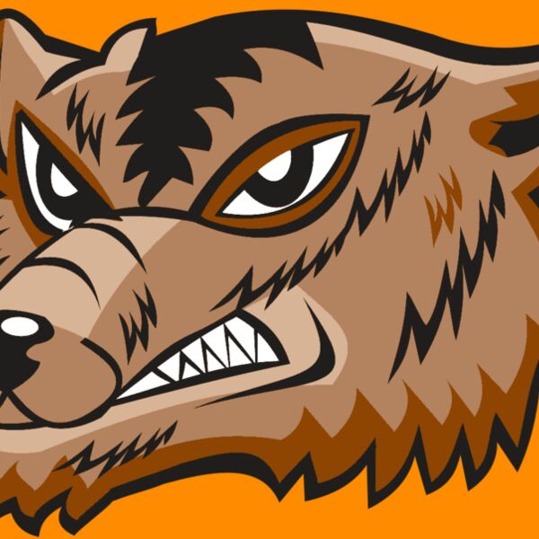 WOLVERINE HD0504 RQC Thumbnail