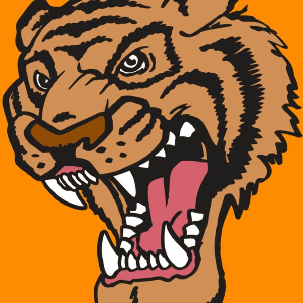 AR TIGER 12 RC Thumbnail