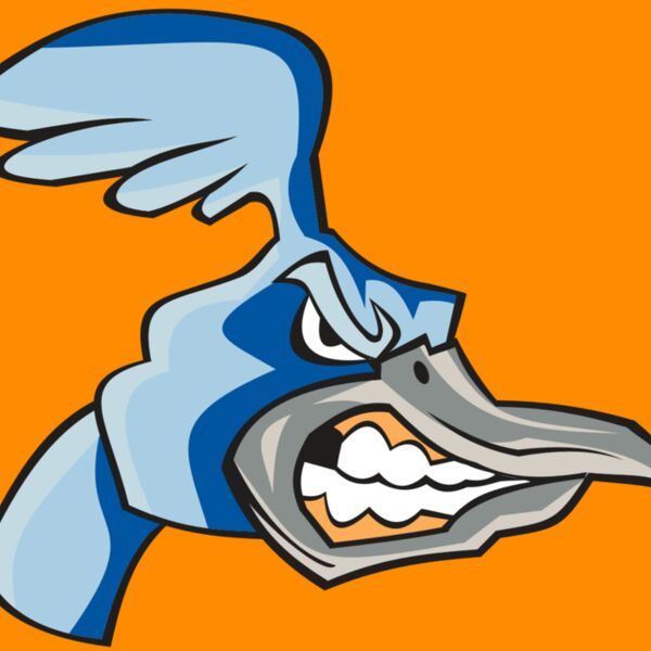 ROADRUNNER HD0503 RQC Thumbnail